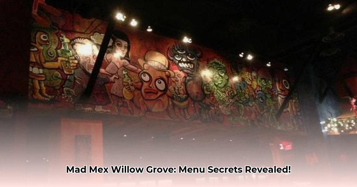 mad-mex-willow-grove-willow-grove-pa